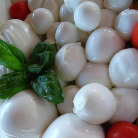 Отель Cuba Aeroport Restaurant Римини