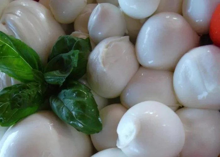 מלון Cuba Aeroport Restaurant רימיני