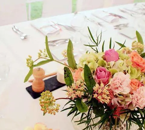 Cuba Aeroport Restaurant فندق